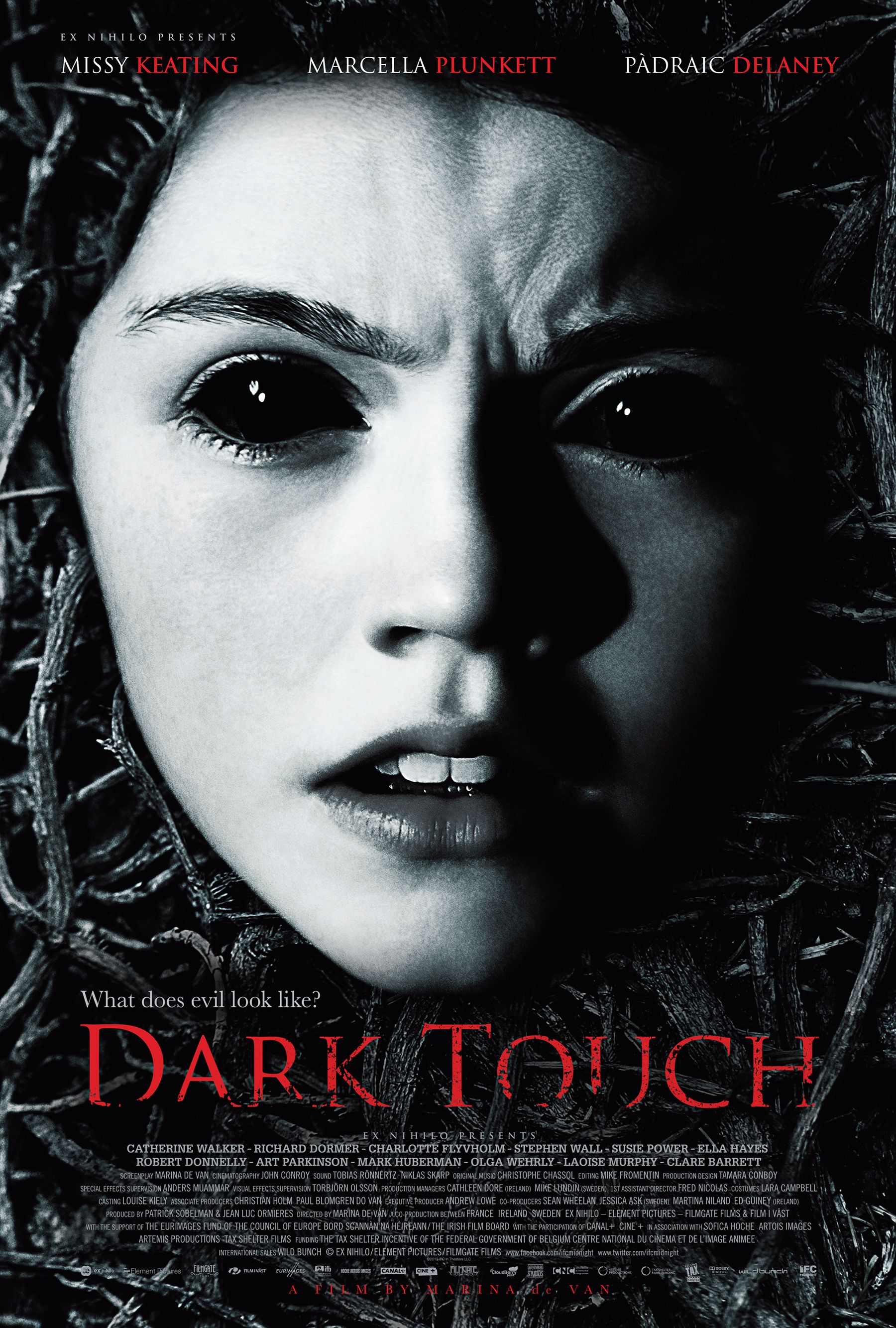 Dark Touch Poster