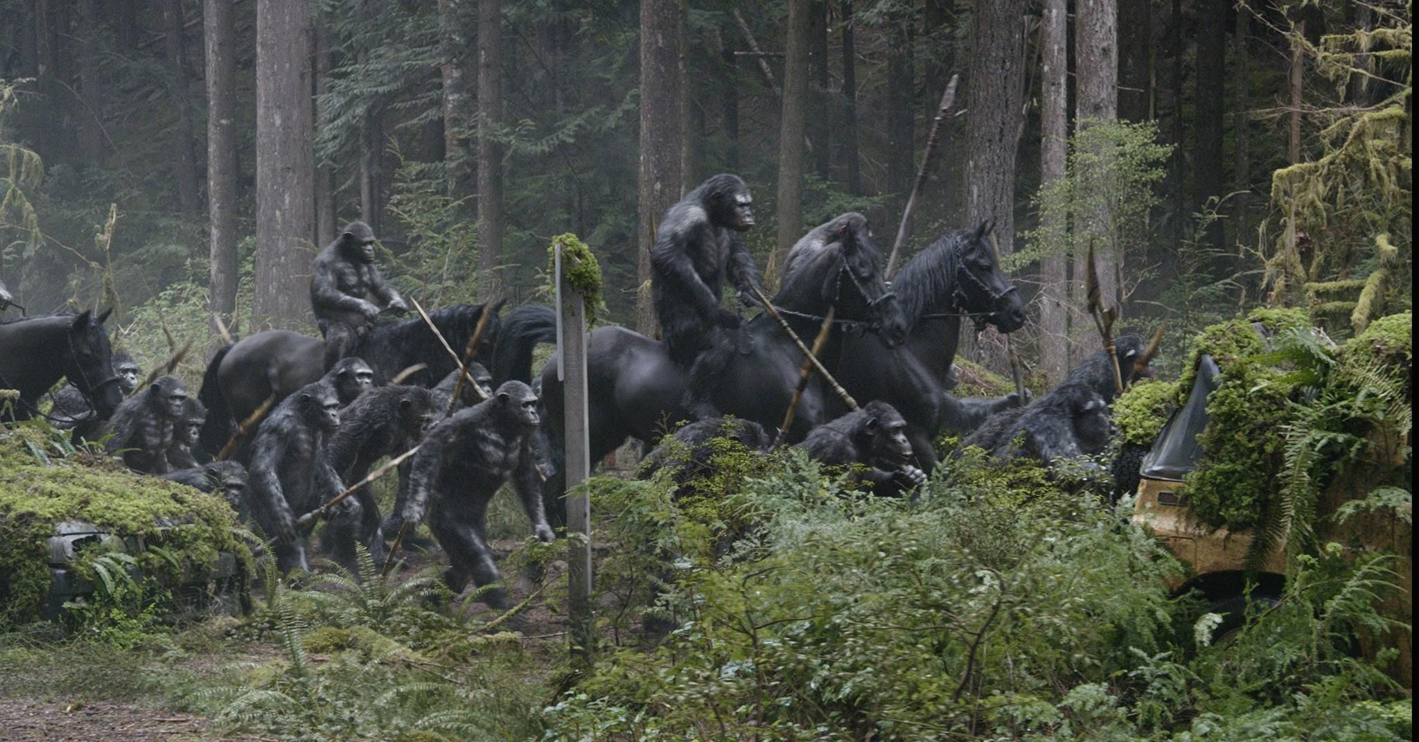 Dawn of the Apes Photo 5
