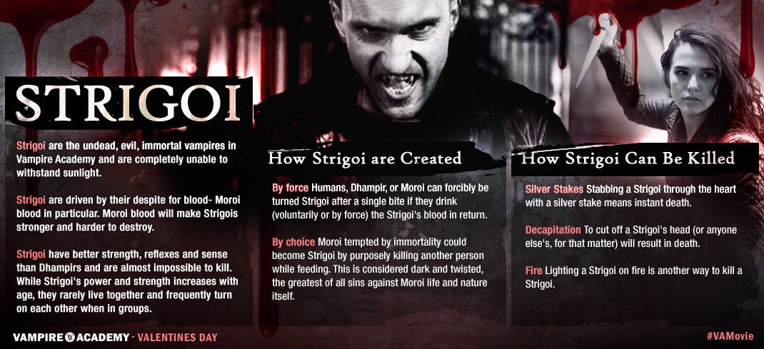 Vampire Academy Strigoi Infographic