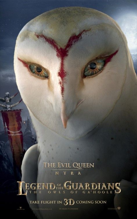 Legend of the Guardians: The Owls of Ga'Hoole Character Poster #6