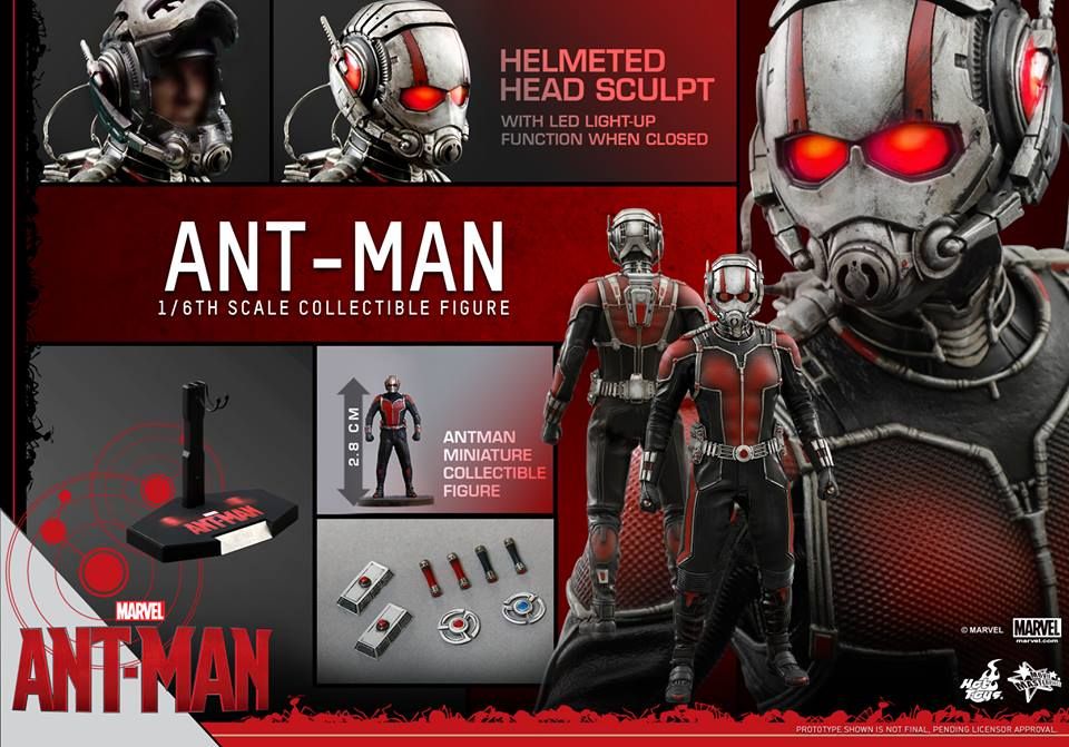 Ant-Man Hot Toys 17