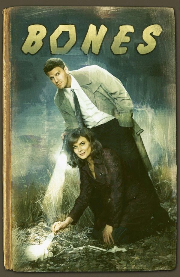 Bones Season 8 Comic-Con Poster