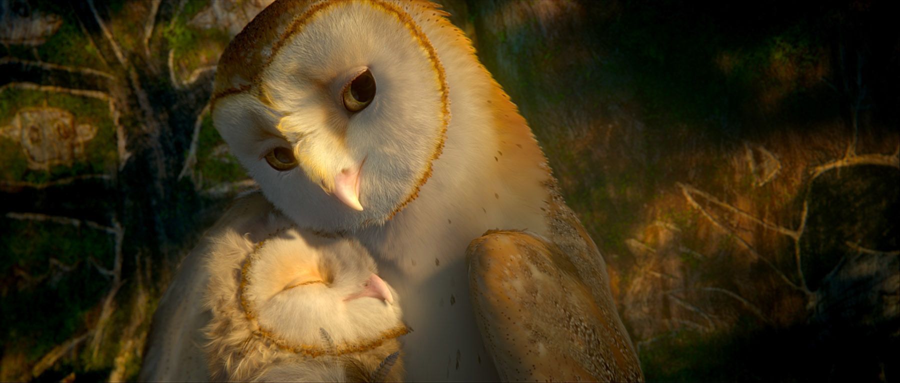 Legend of the Guardians: The Owls of Ga'Hoole Image #4