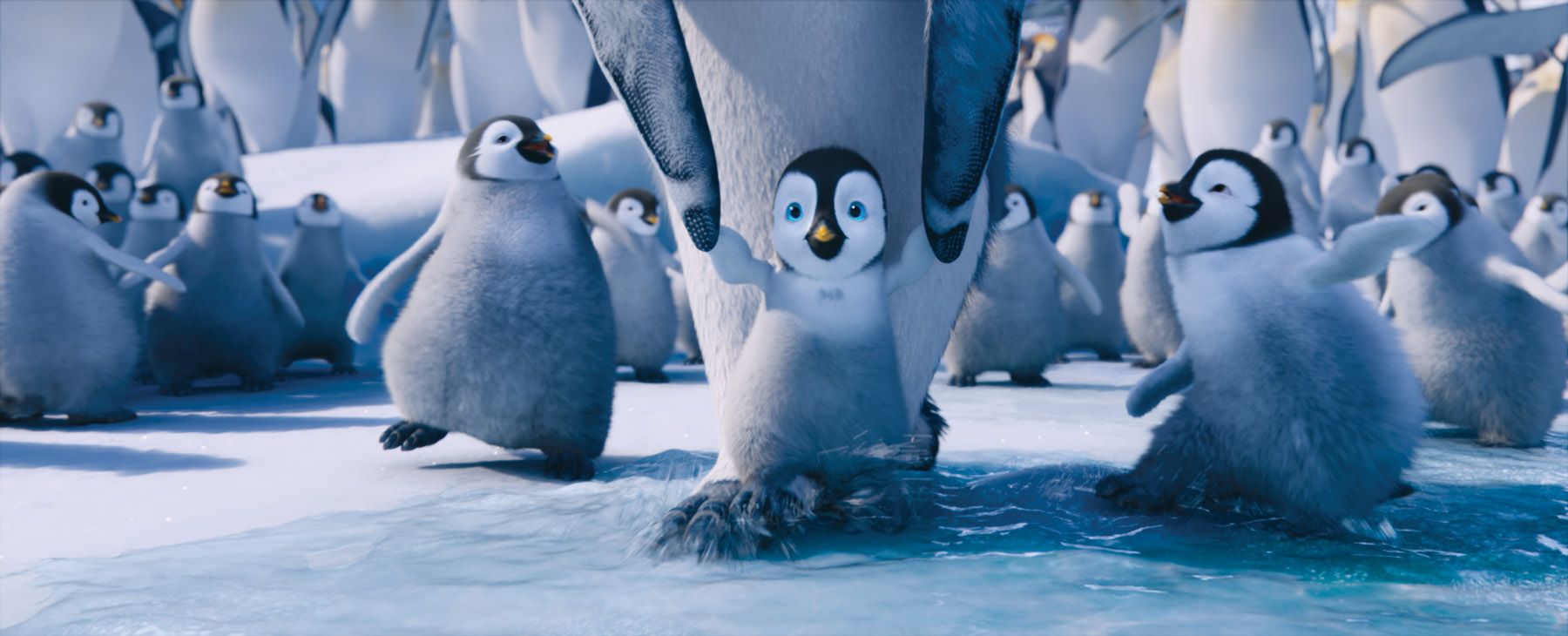Happy Feet Two Picture #3