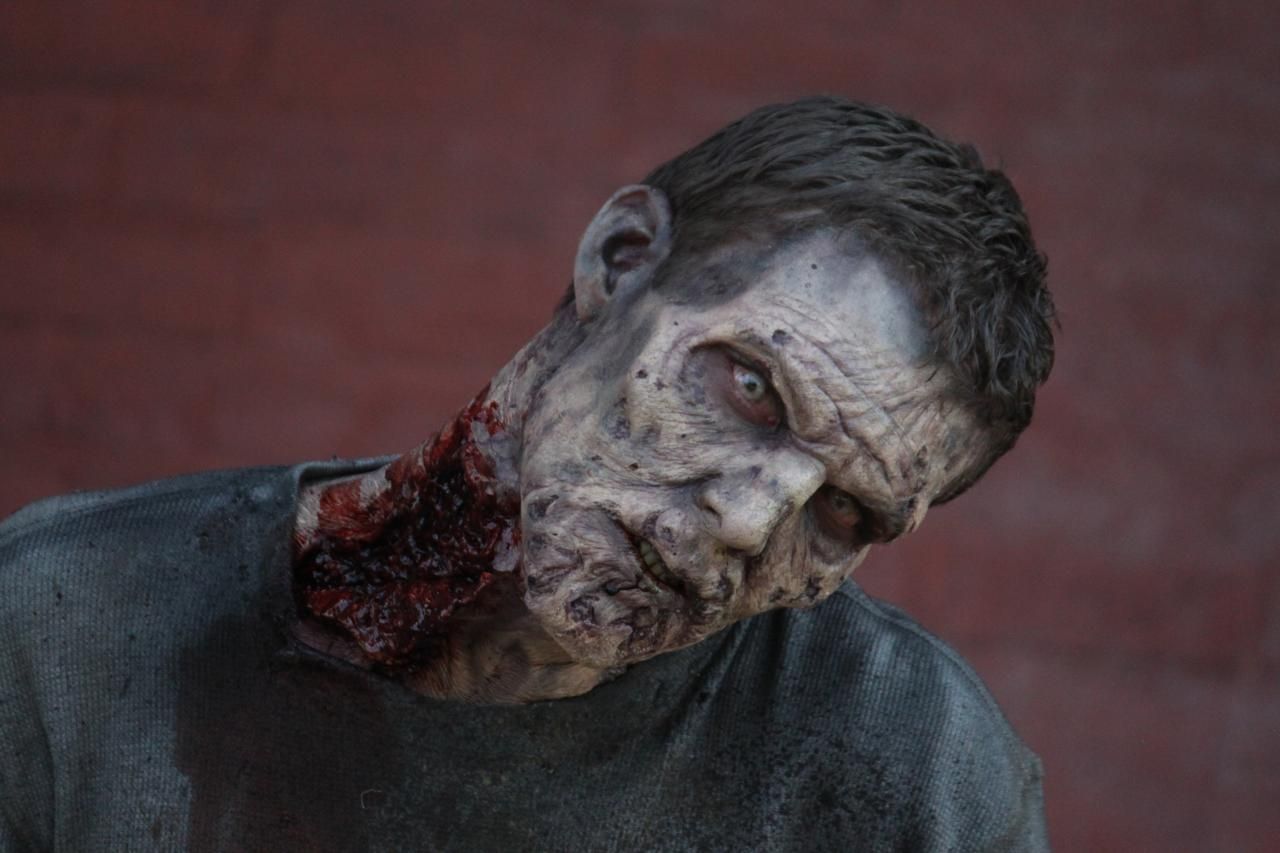 The Walking Dead Season 5 Photo #19
