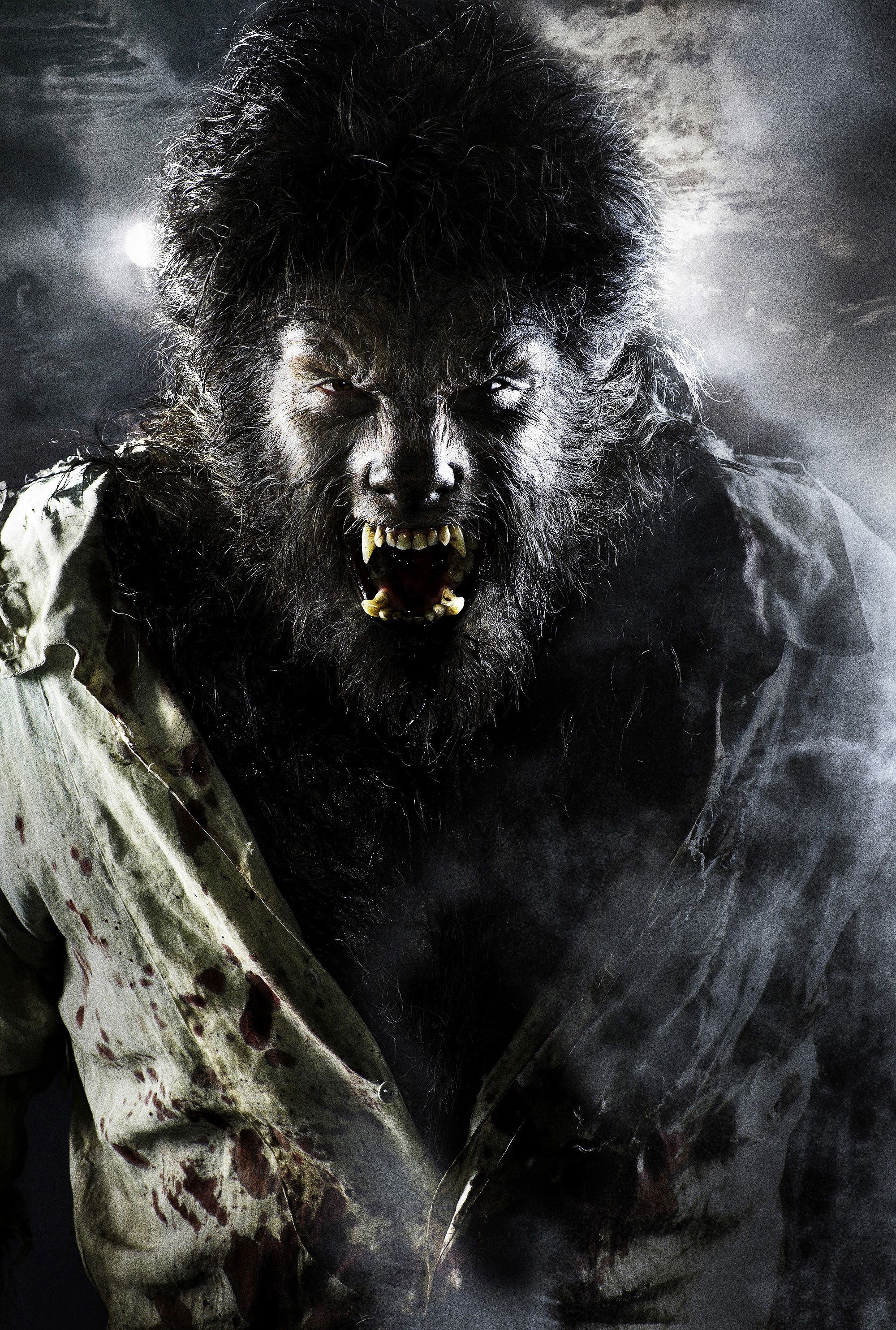 Benecio Del Toro as the Wolf Man