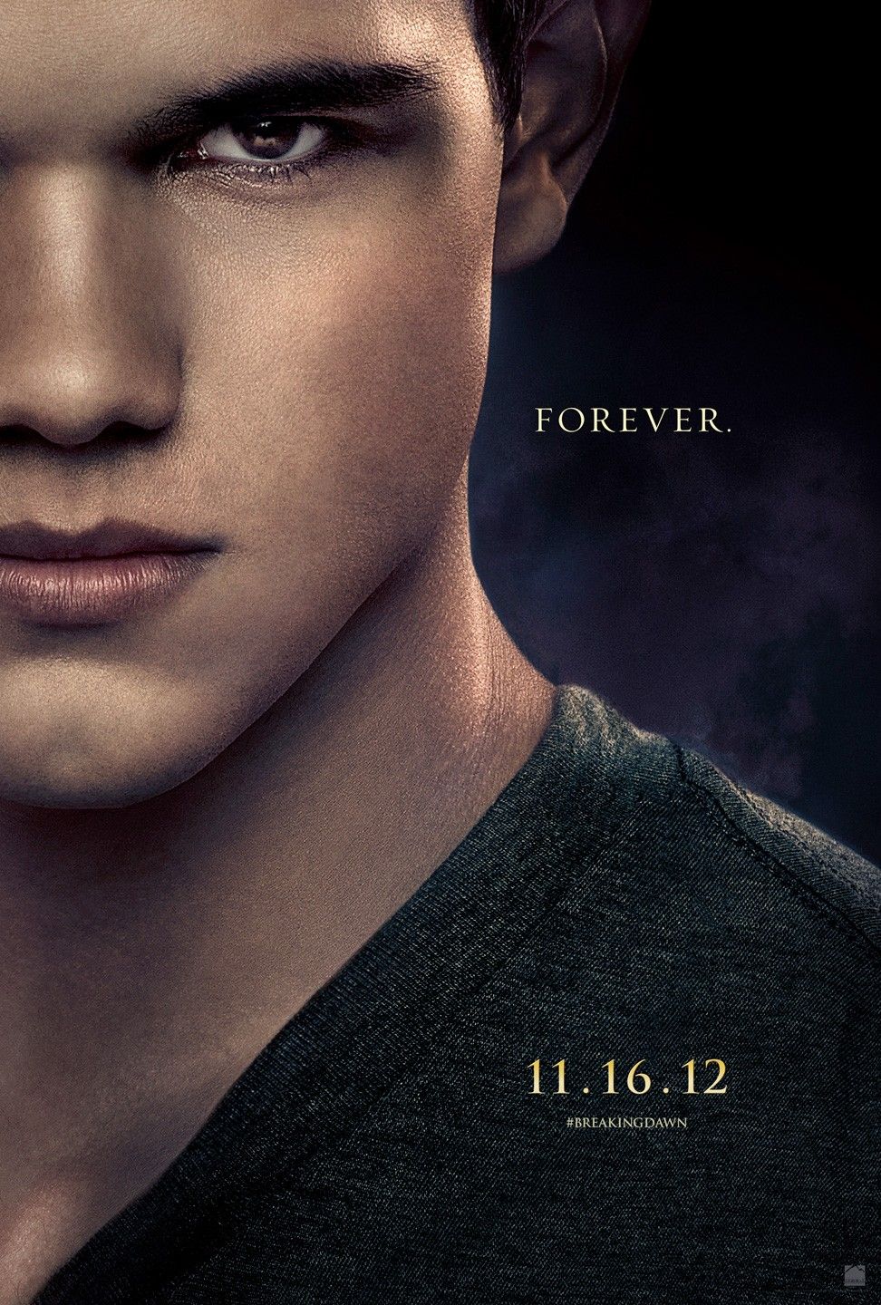 Twilight Poster 3
