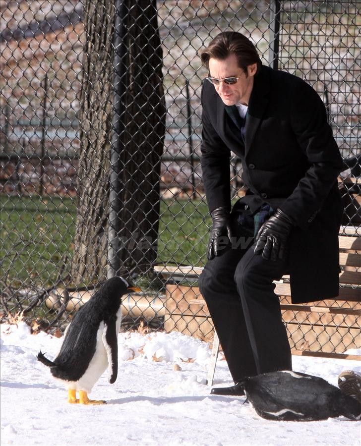 Mr. Popper's Penguins Jim Carrey Photo #2