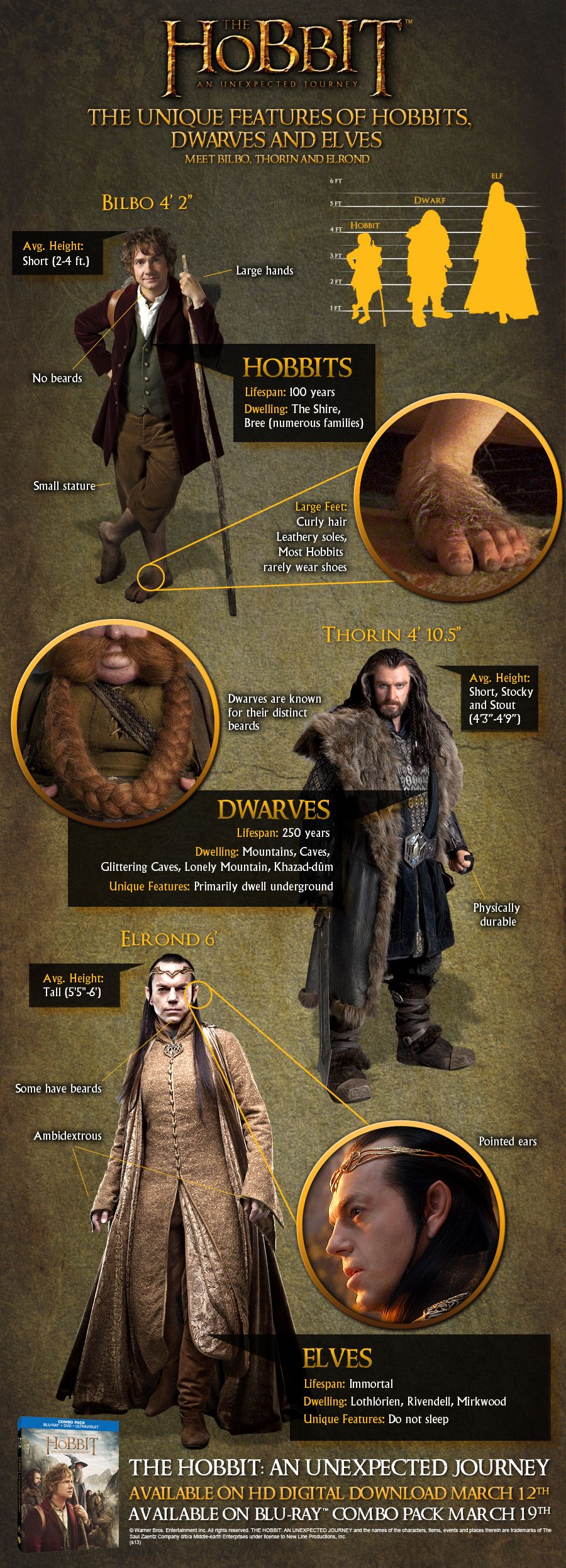 The Hobbit: An Unexpected Journey Blu-ray Infographic