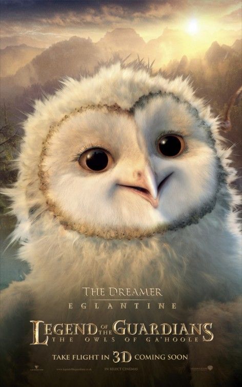 Legend of the Guardians: The Owls of Ga'Hoole Character Poster #5