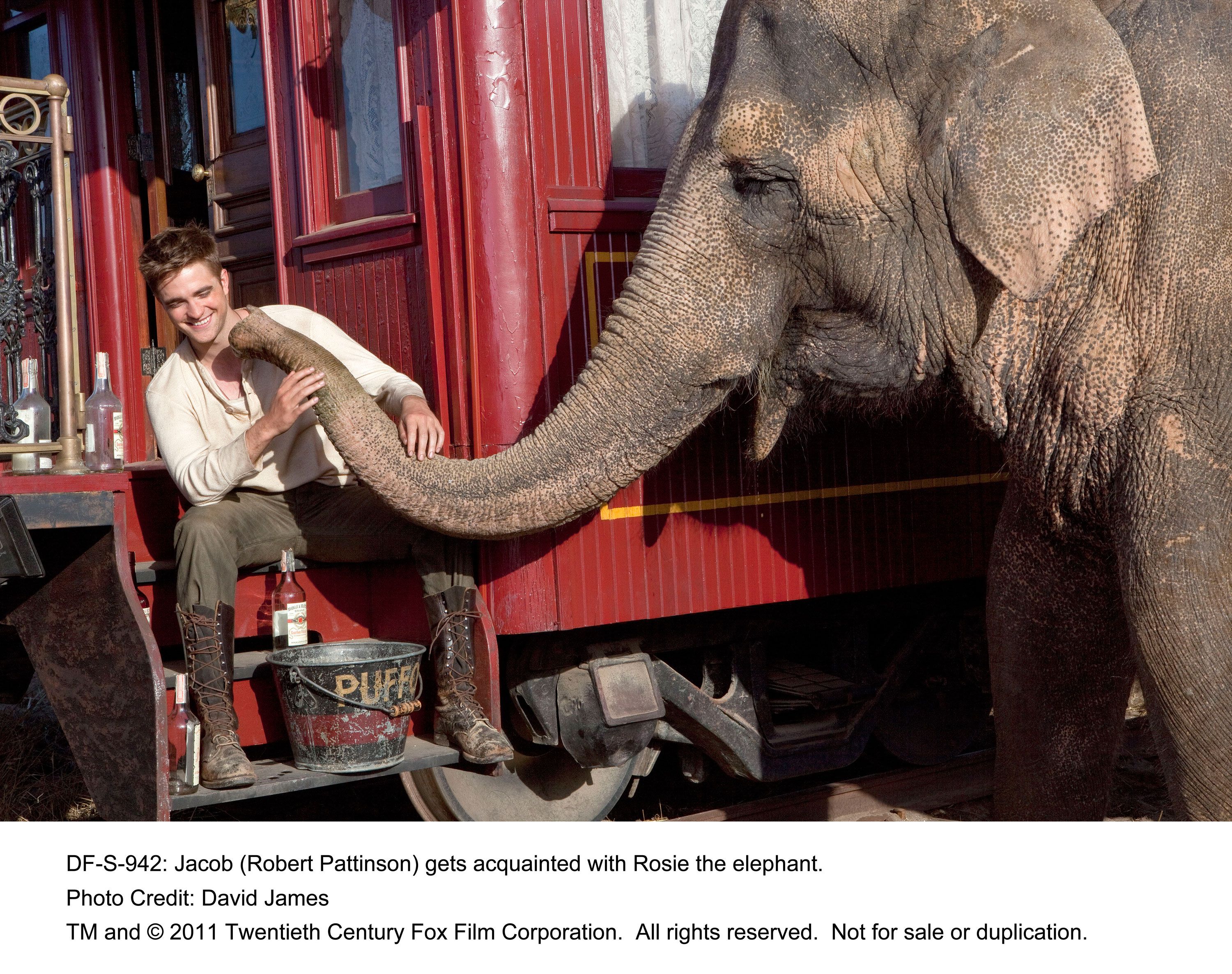 Robert Pattinson in Water for Elephants #2
