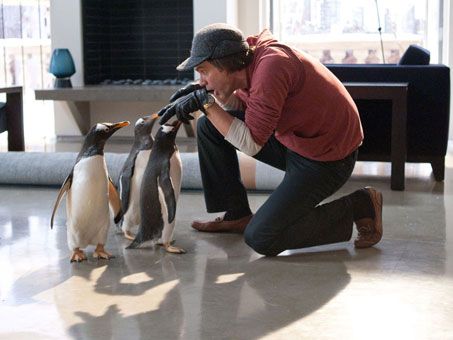 Jim Carrey in Mr. Popper's Penguins #4