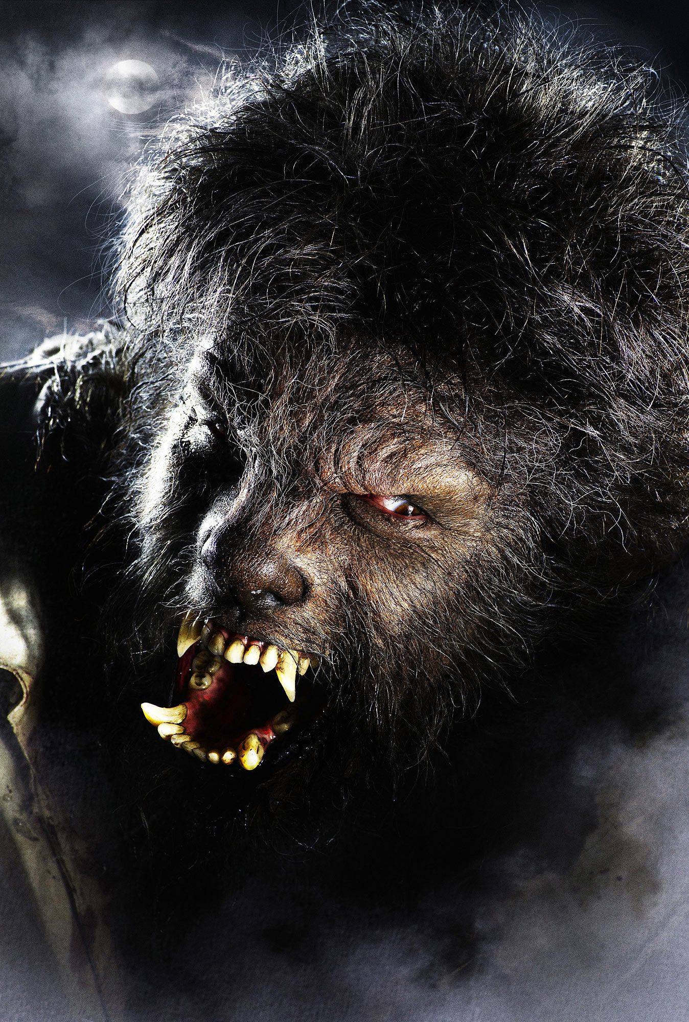 Benecio Del Toro as the Wolf Man