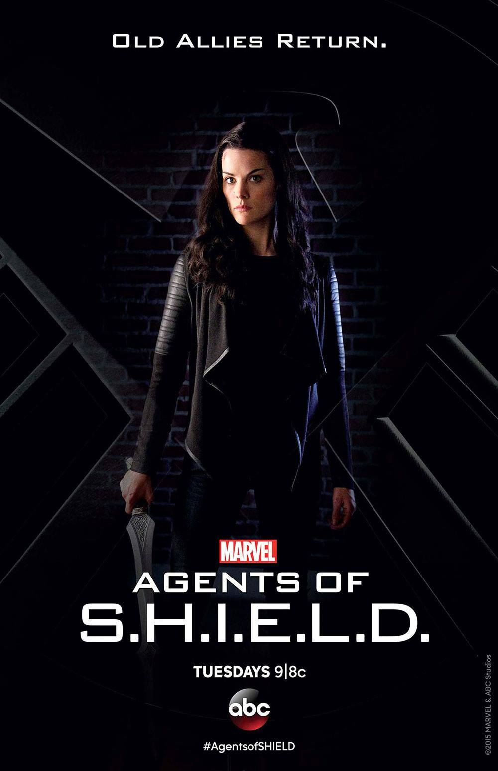 Agents of S.H.I.E.L.D. Lady Sif Poster
