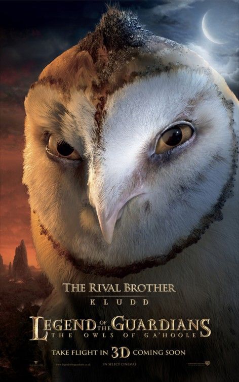 Legend of the Guardians: The Owls of Ga'Hoole Character Poster #3