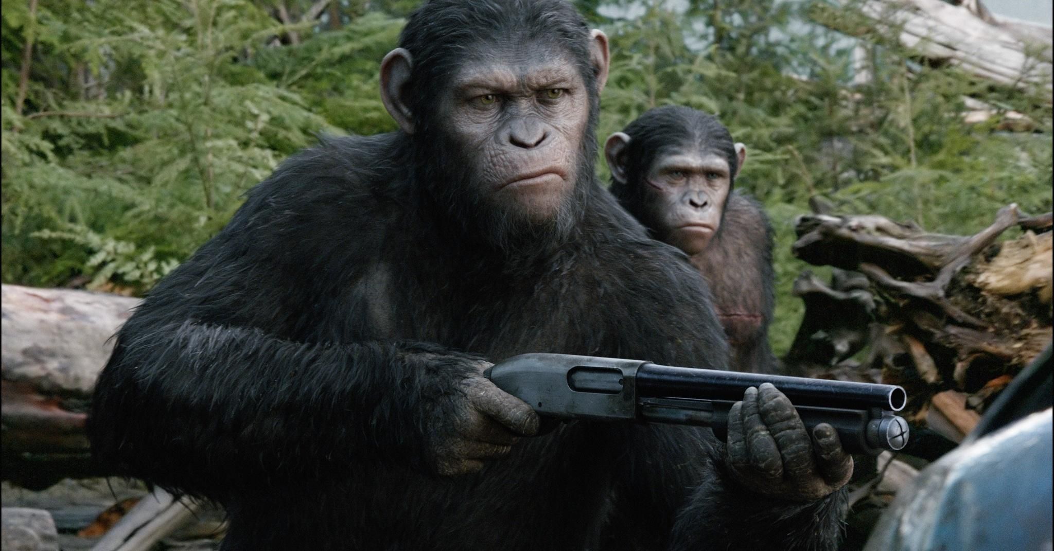 Dawn of the Apes Photo 3