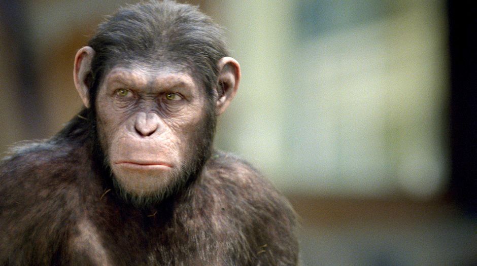 Rise of the Planet of the Apes Photo #8