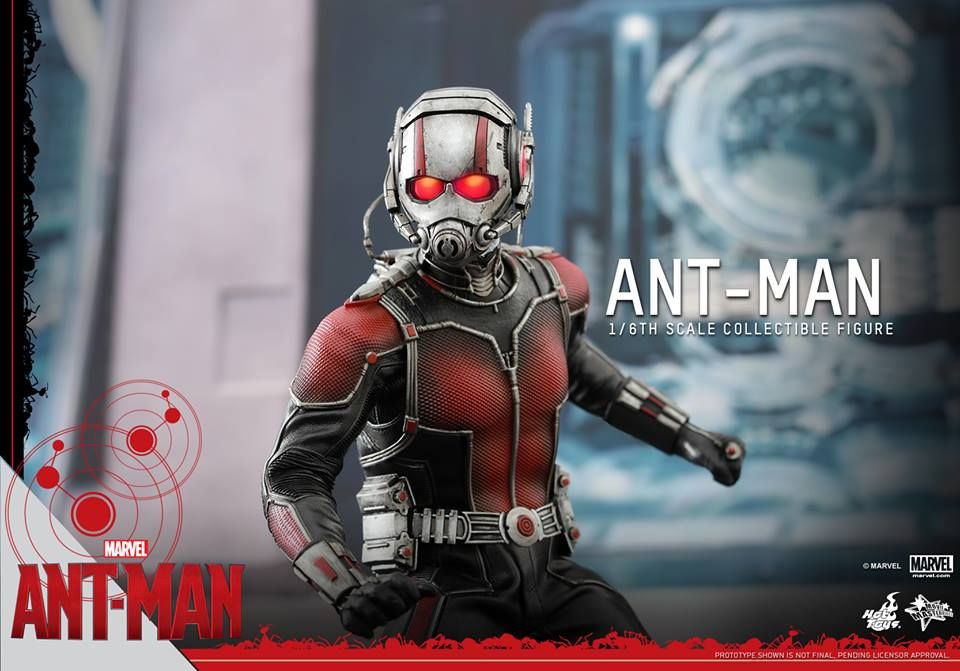 Ant-Man Hot Toys 5