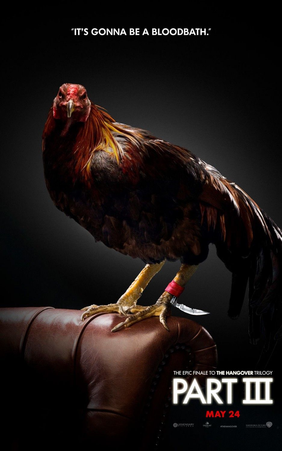 The Hangover Part III Gamecock Poster