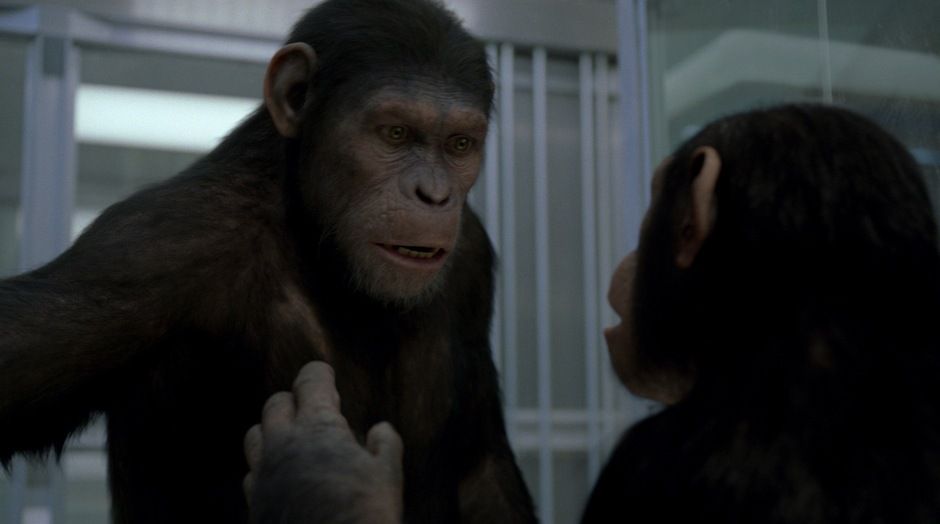 Rise of the Planet of the Apes Photo #5