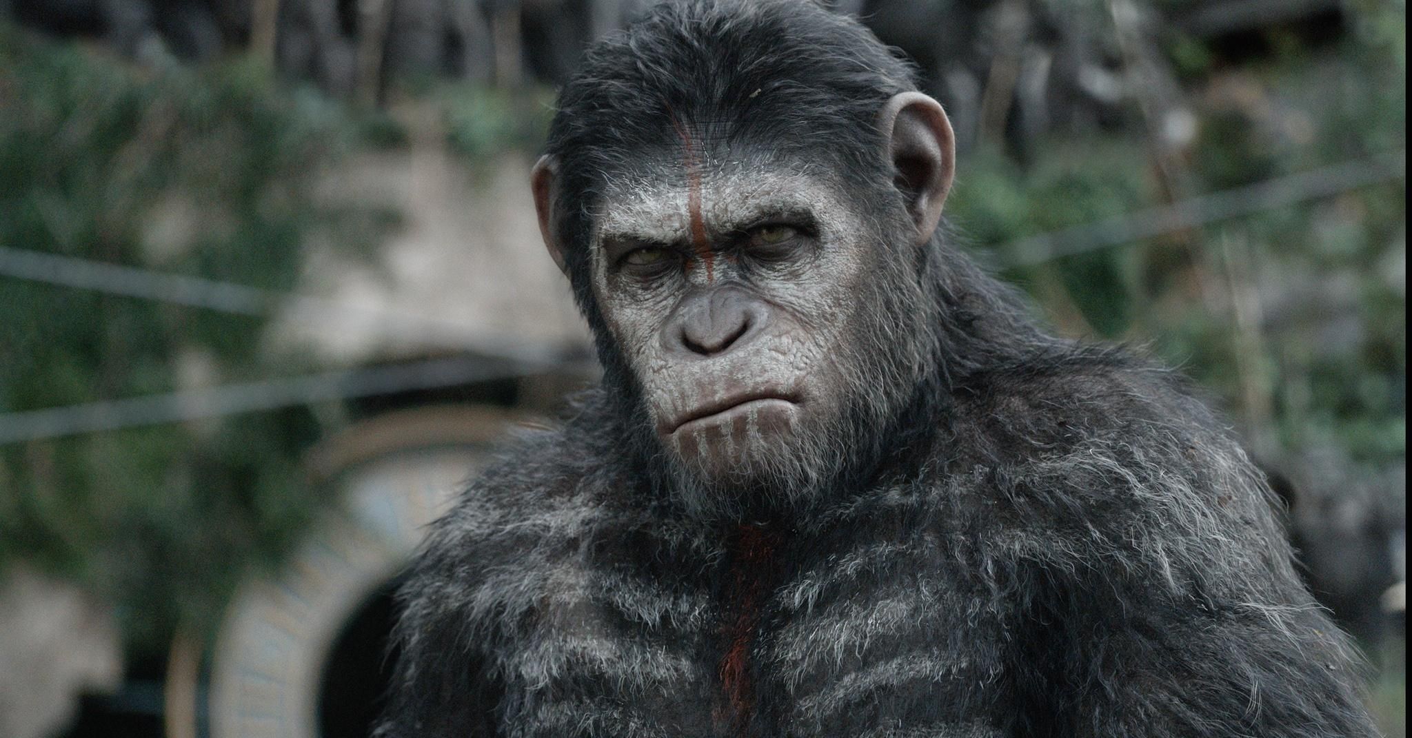 Dawn of the Apes Photo 2