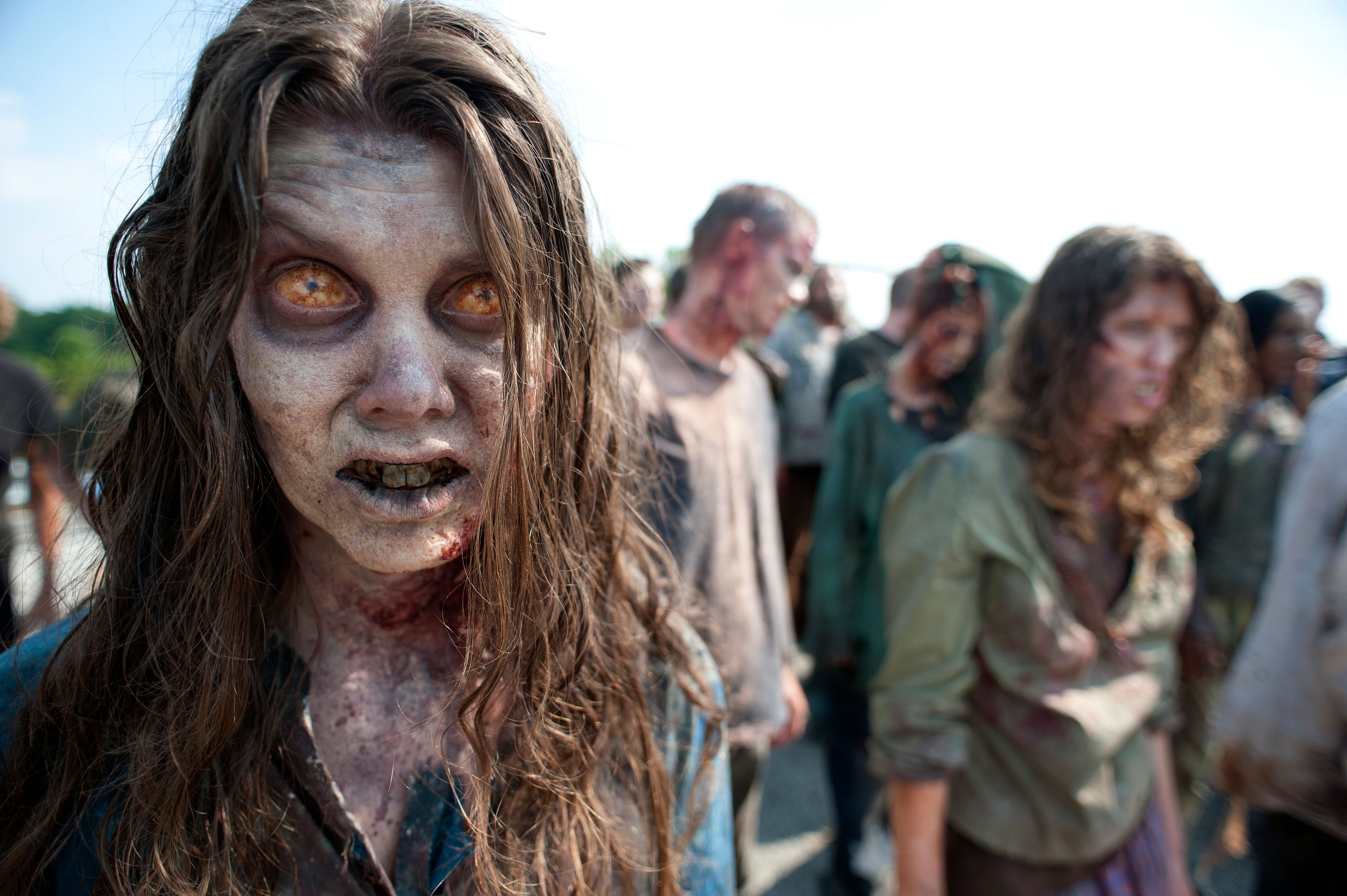 The Walking Dead Season 2 First Look Photo