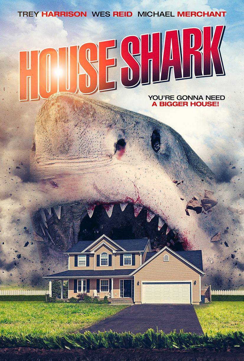 House Shark poster