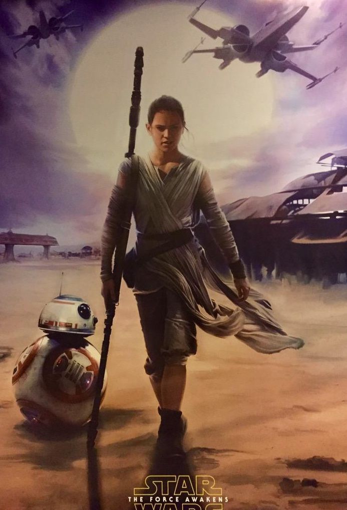 Star Wars: The Force Awakens Poster 13