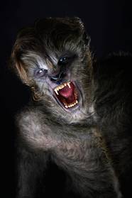 First Look At Wolves With Lucas Till EXCLUSIVE