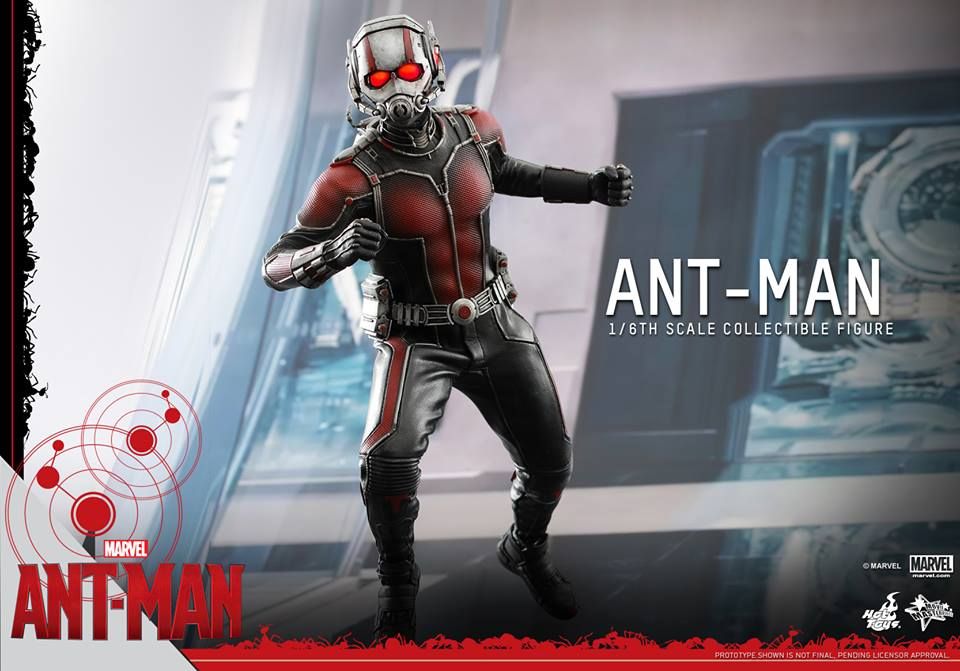 Ant-Man Hot Toys 13