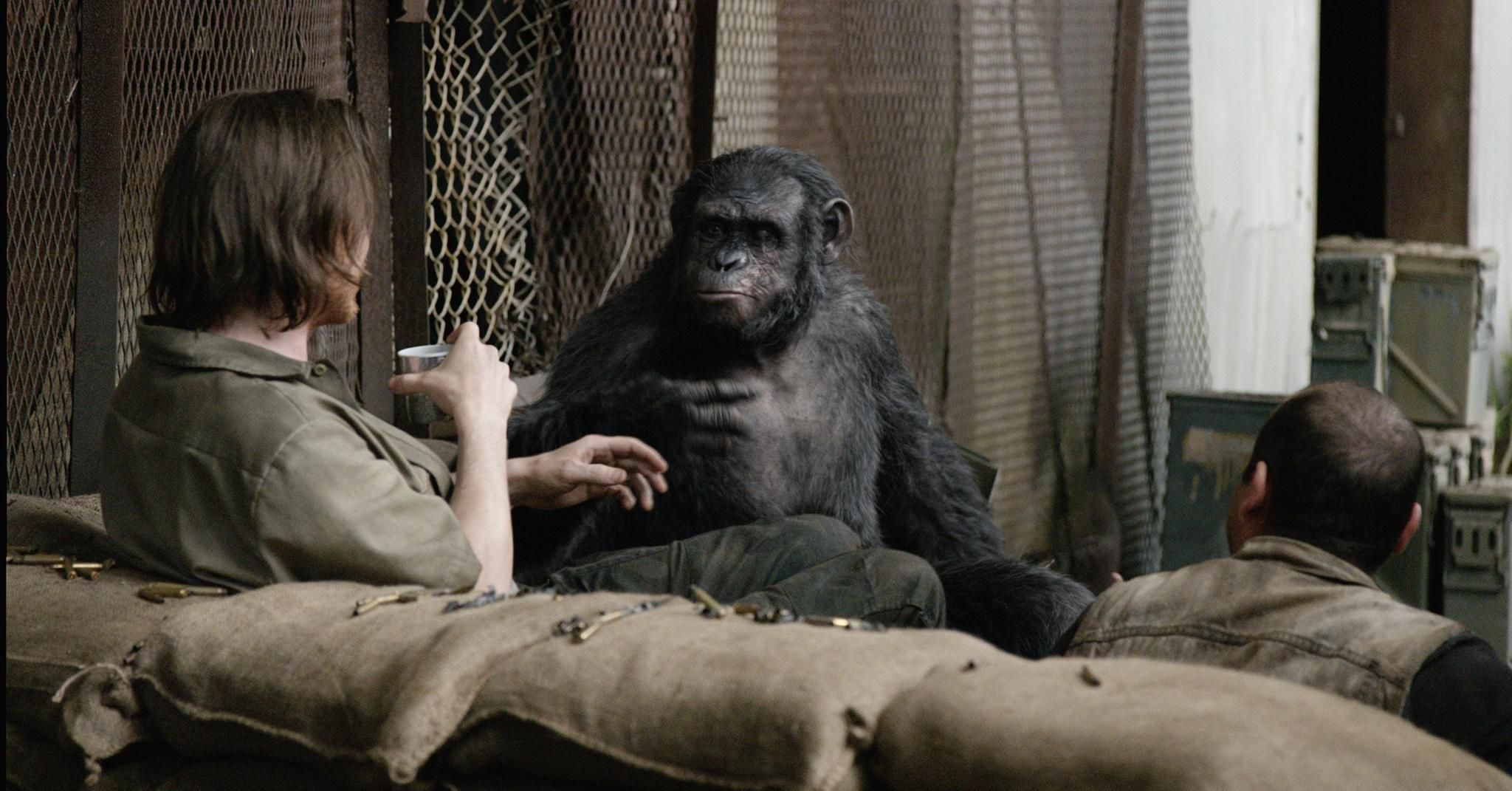 Dawn of the Apes Photo 10