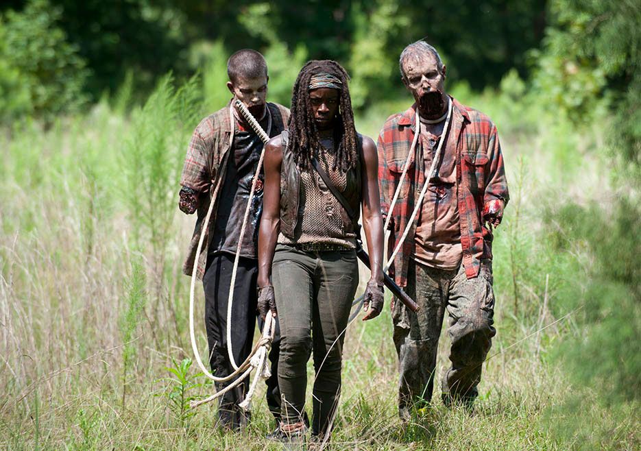 The Walking Dead After Photo 1