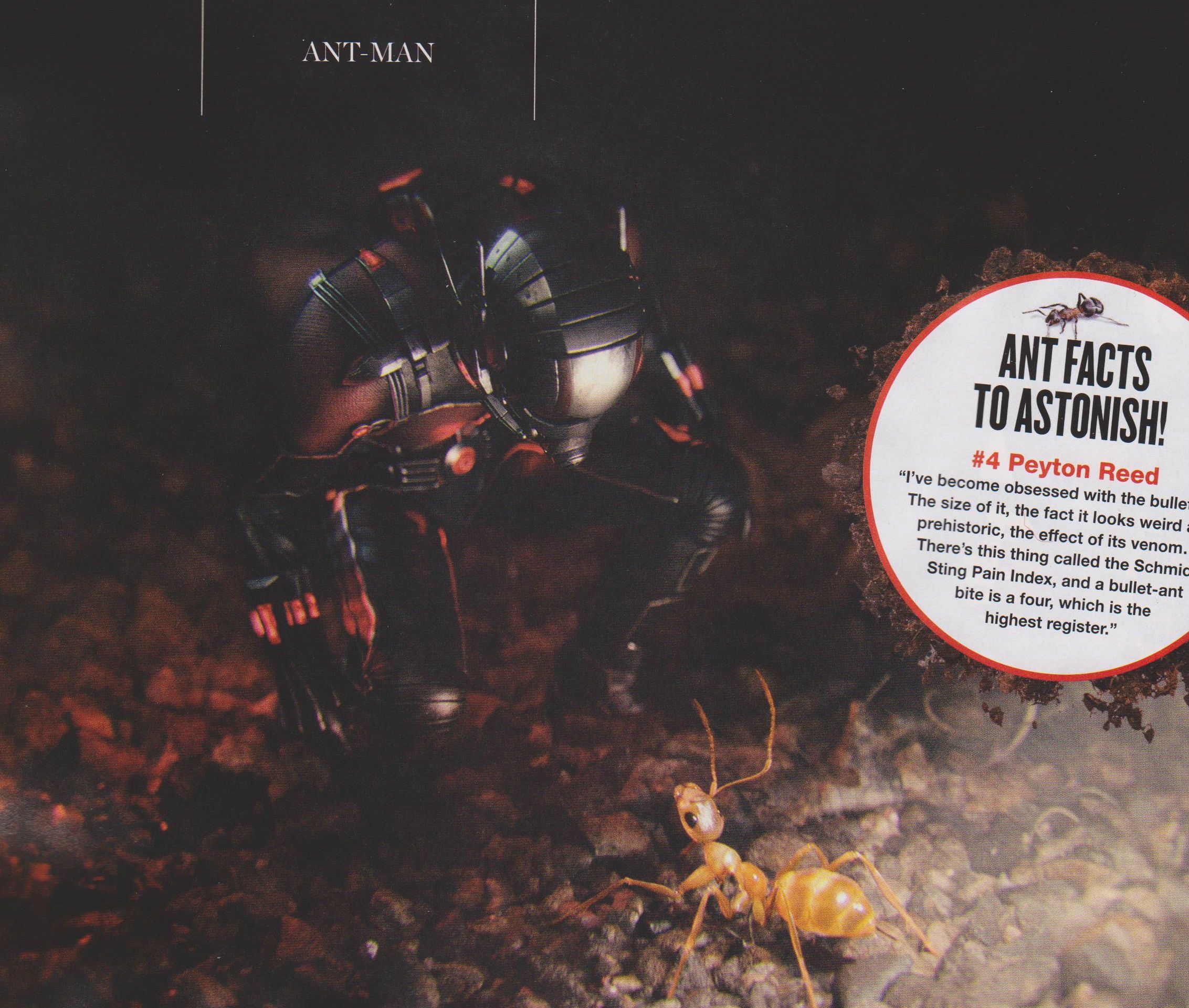 Ant-Man Photo 3