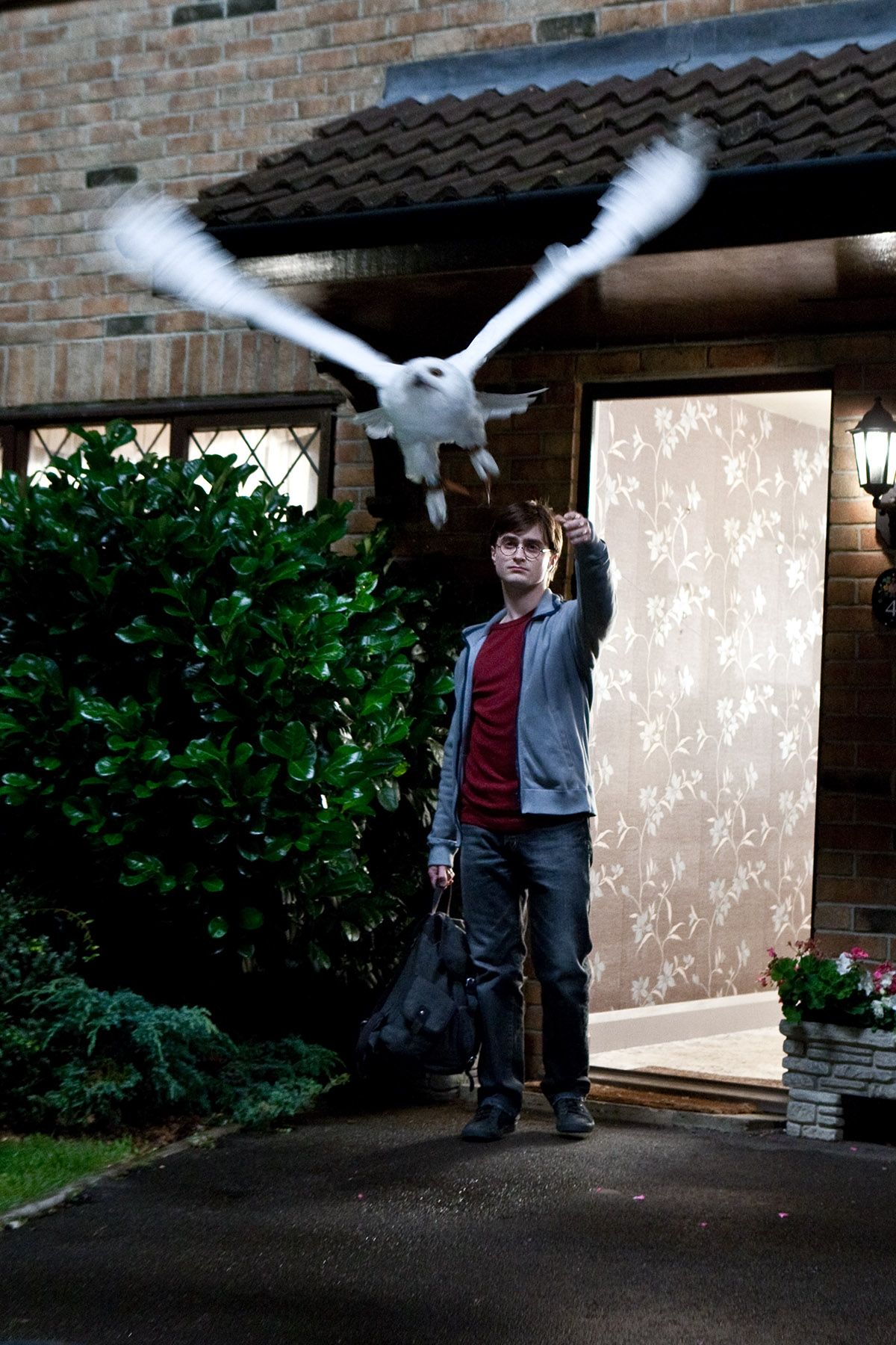 Daniel Radcliffe lets his Owl go in Harry Potter and the Deathly Hallows