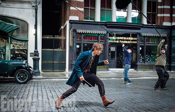 Fantastic Beasts and Where to Find Them Photo 4