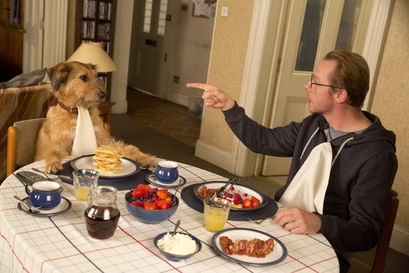 Absolutely Anything Photo 1
