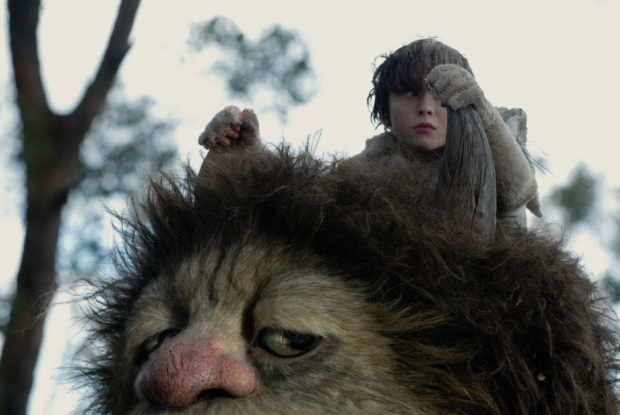 Where the Wild Things Are Photo #1
