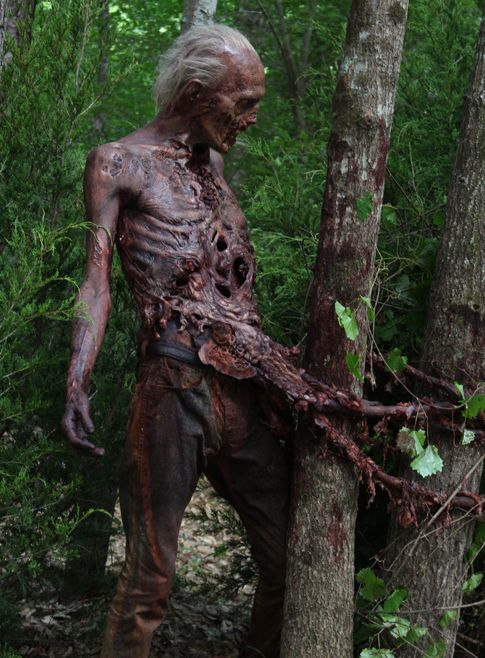 The Walking Dead Season 6 Zombie Photo 3