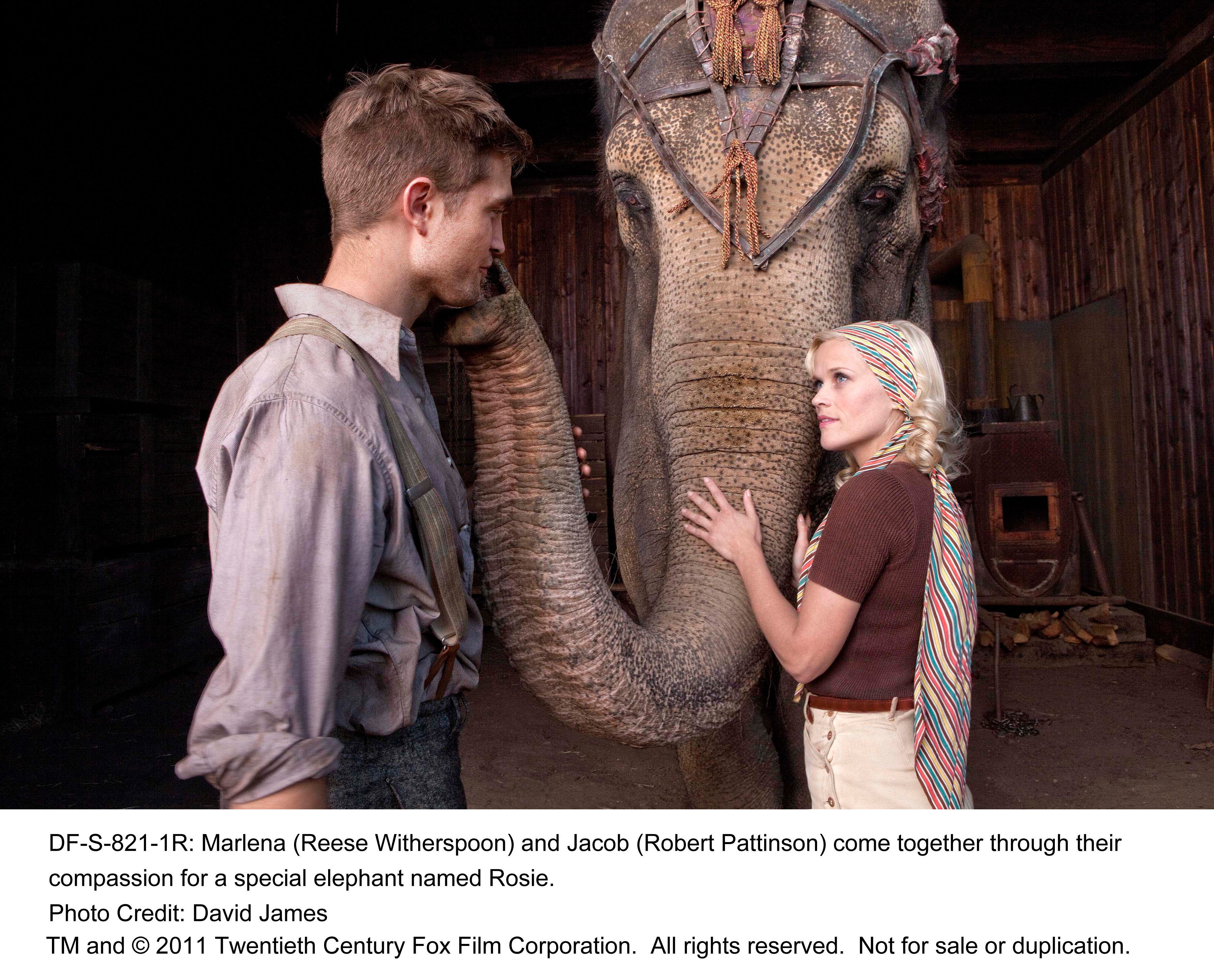 Water for Elephants Movie Pictures #4