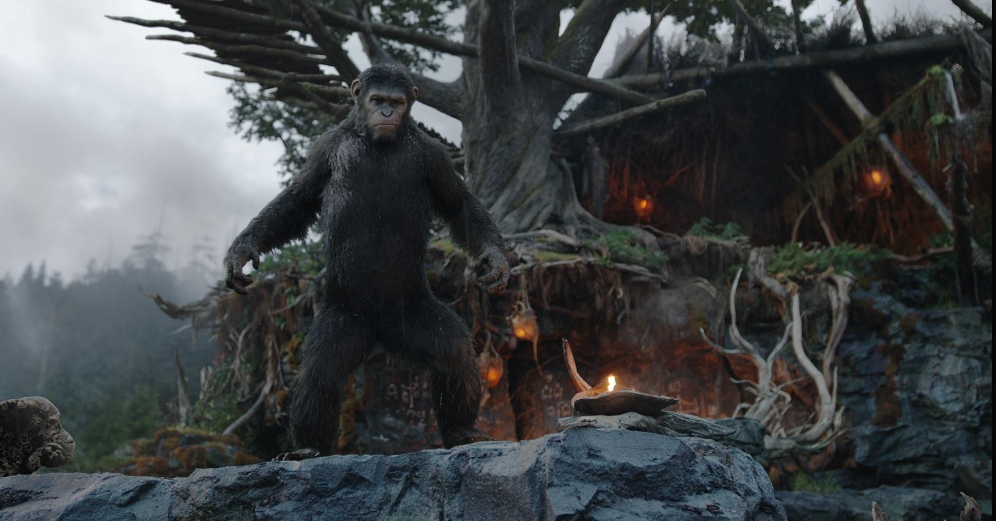 Dawn of the Apes Photo 1