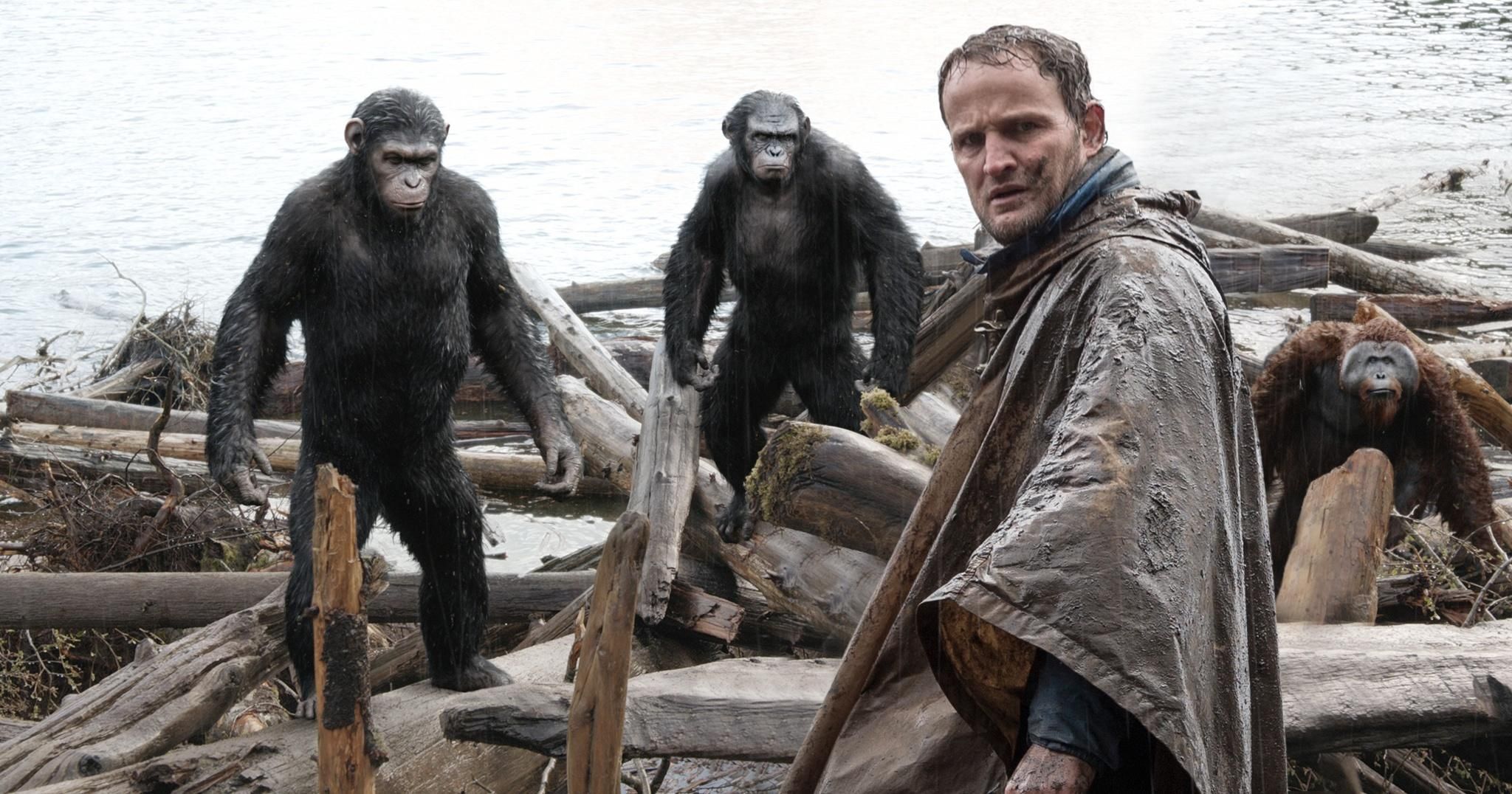 Dawn of the Apes Photo 9