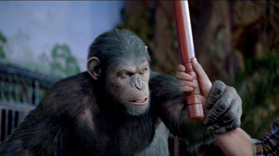 Rise of the Planet of the Apes Photo #4