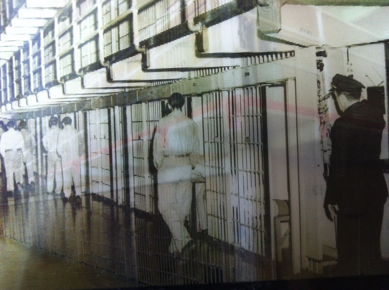 Alcatraz viral photo #8