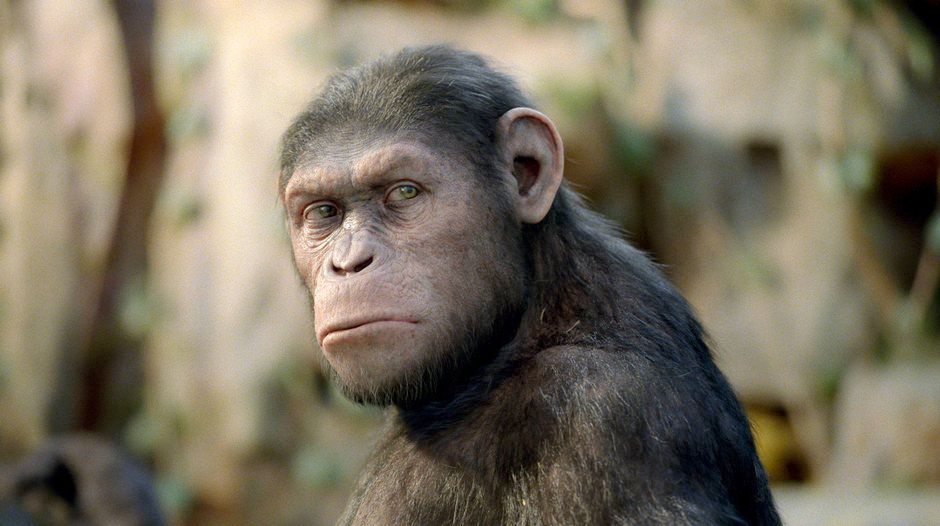 Rise of the Planet of the Apes Photo #7