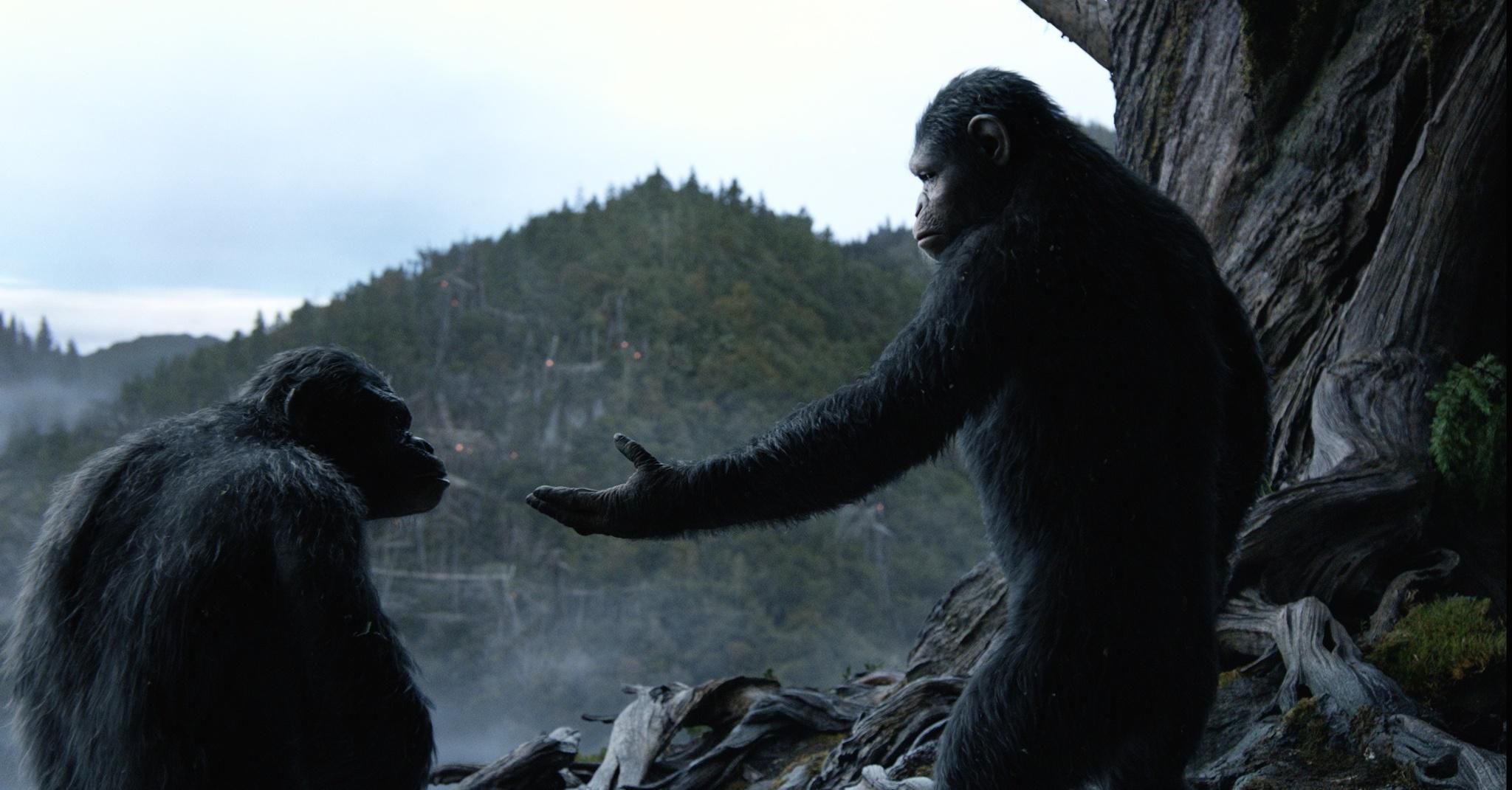 Dawn of the Apes Photo 8