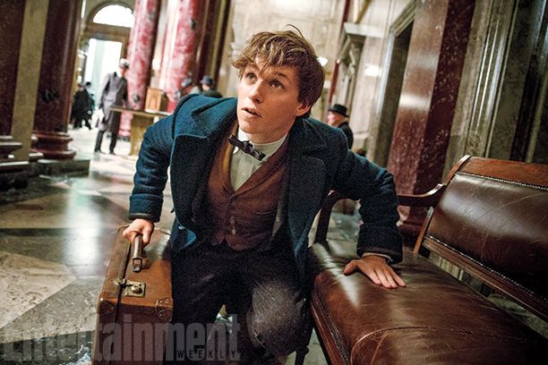 Fantastic Beasts and Where to Find Them Photo 2