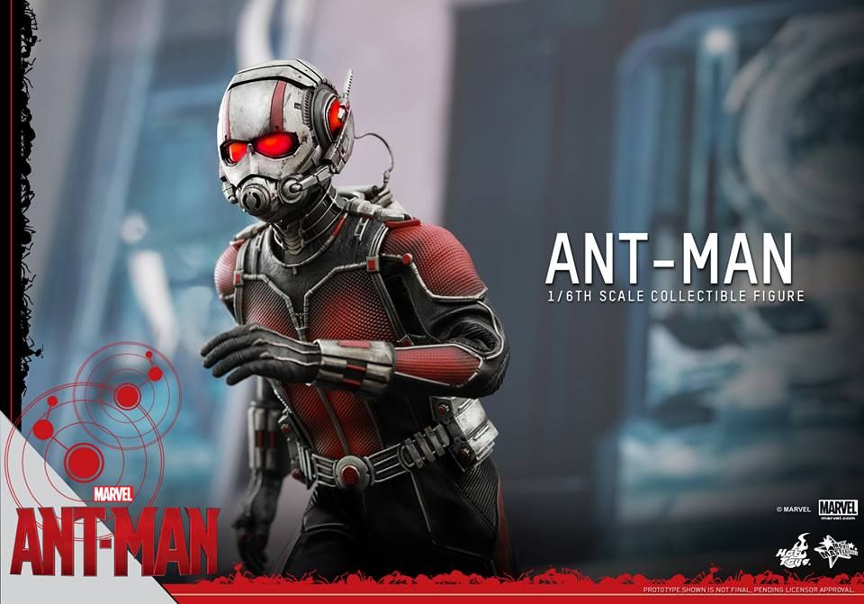 Ant-Man Hot Toys 4