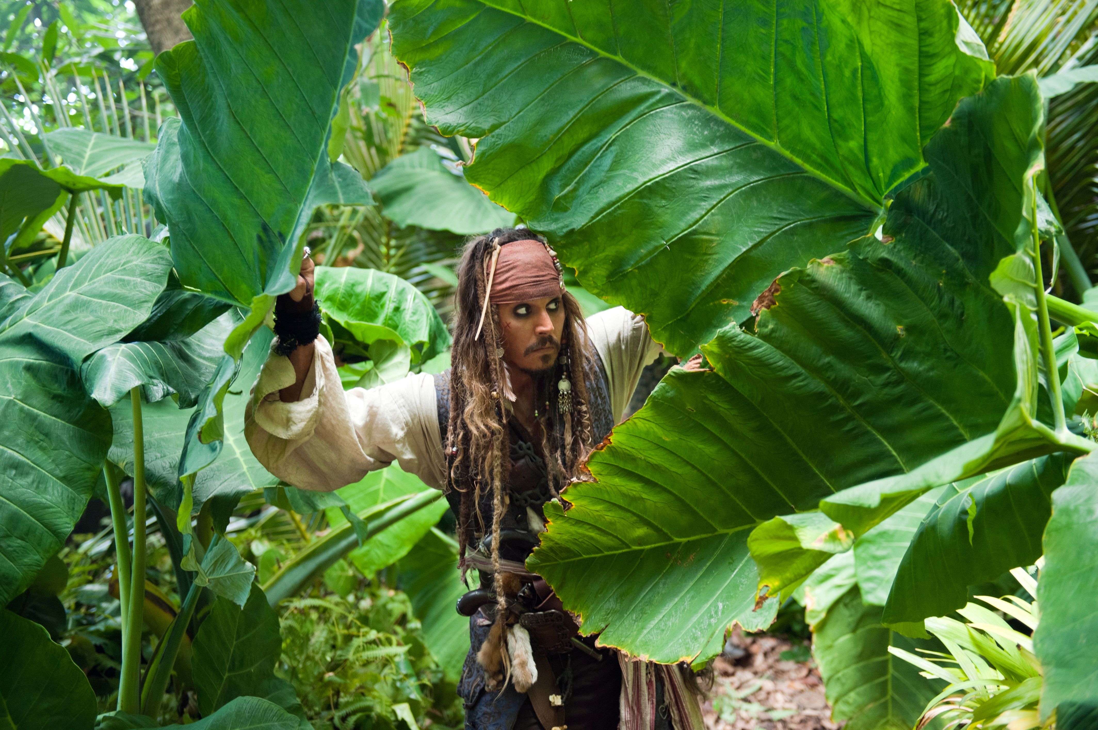 Johnny Deppin Pirates of the Caribbean: On Stranger Tides