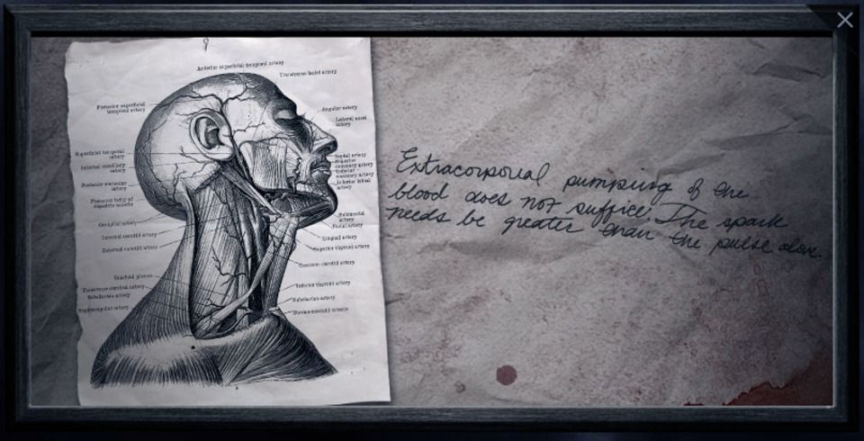 Penny Dreadful Frankenstein's Notebook Photo 6