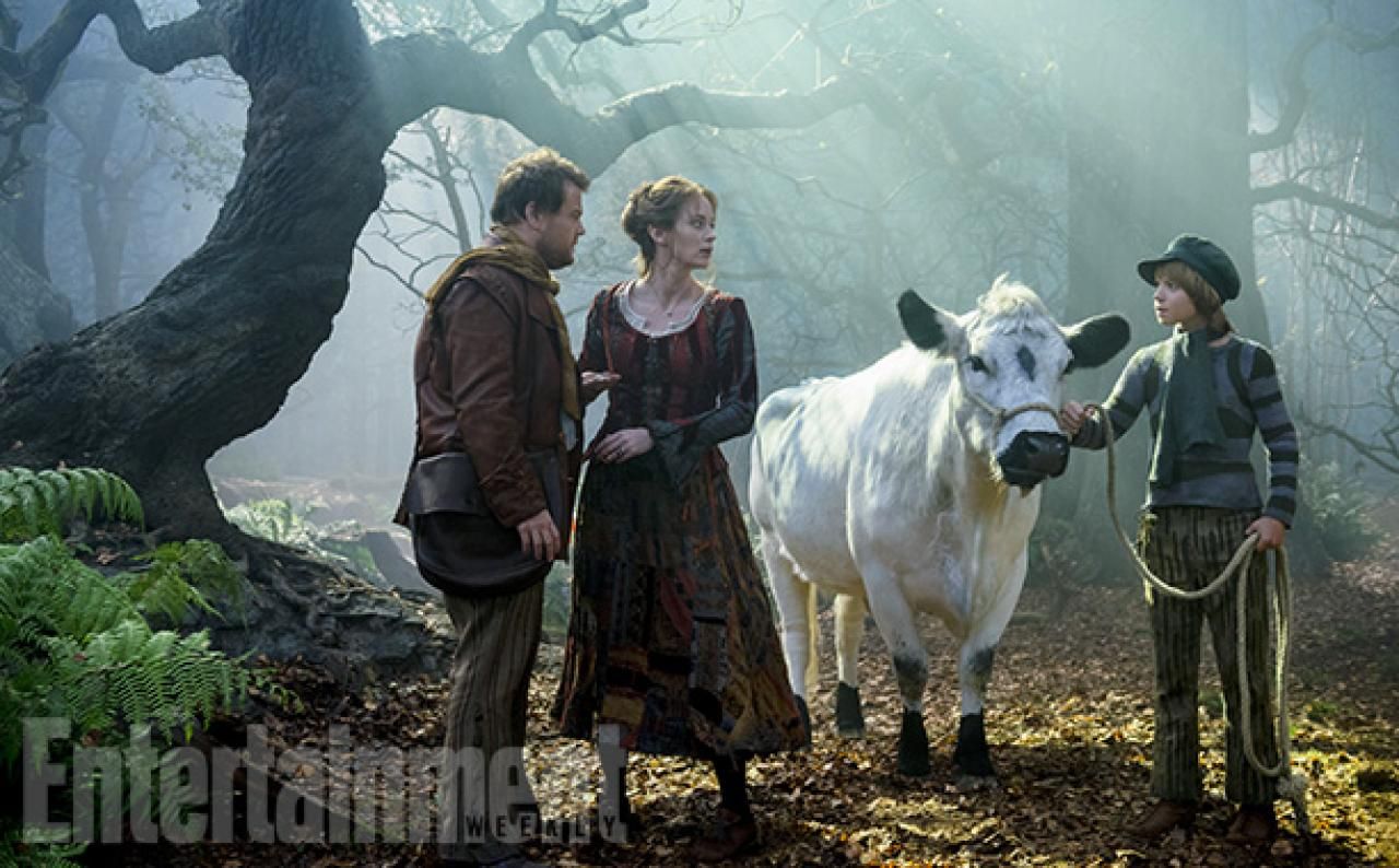 Into the Woods Photo 2